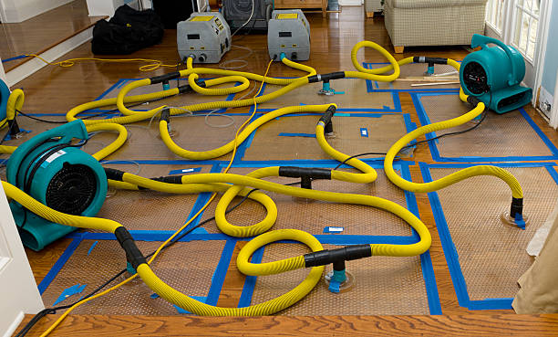 Professional Flood Damage Restoration technician working in Incline Village, NV
